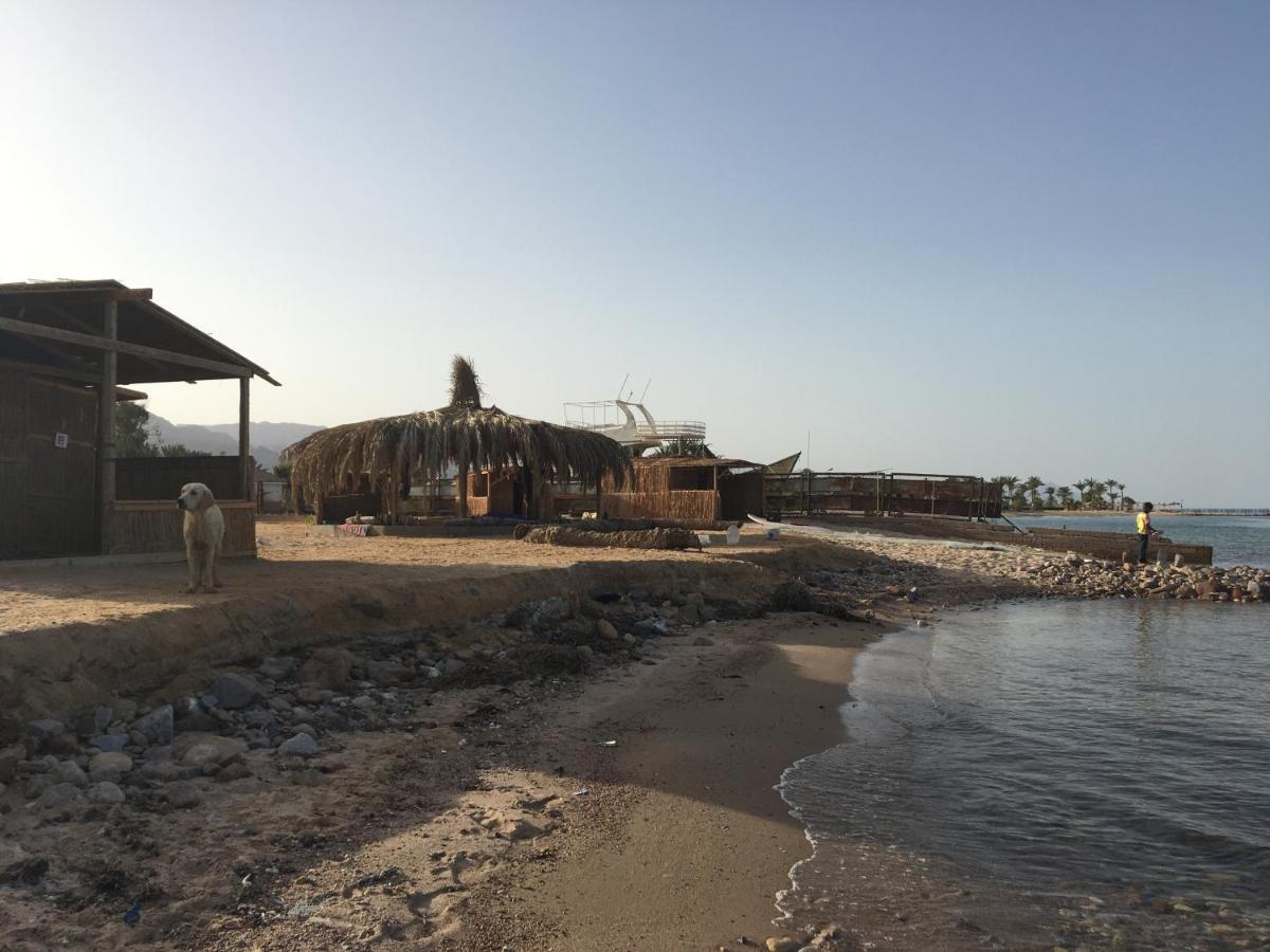 Sina Star Camp Hotel Nuweiba` Exterior foto